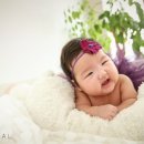 봄날스튜디오 이미지