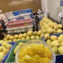 수수(SUSU) 이미지