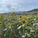 찬희농장 이미지