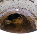 어룡초교 이미지