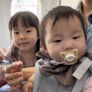 토성농장 | 일상-일본 여행과 할머니집의 여정