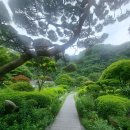 Natural Garden 529 이미지