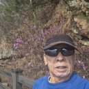 양지보건지소 이미지