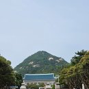 5월의 청와대
