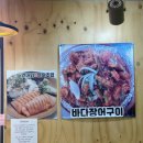 돌산아나고 이미지