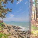 더숲펜션8027 이미지