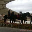 산외목장 이미지