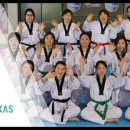 박사 엘리트 태권도 이미지