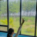 누볼라 풀빌라 이미지