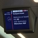 굿피플안경 | [26.01.03-08]🇨🇿낭만 가득 체코 탐방기