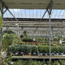 예삐마트 이미지