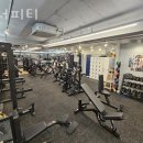 위너피티 이미지