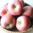 선바위농원 이미지