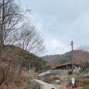 숲속의돌담