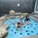 패밀리스파텔 이미지