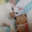 메로나PC 이미지