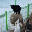 춤추는 마을기업 이미지
