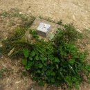 불미골공원 이미지