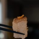 한끼상자 이미지