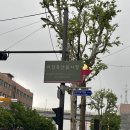 마장축산시장2-1 이미지