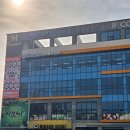 샤브50 정읍점 | 정읍 회전초밥맛집 미카도스시 정읍점 평일 이용후기