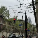 샹하이탄 | 샤샤샤 oh 나의 샹하이 love 🇨🇳♥️ - 2일차