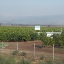 갈릴리농장 이미지