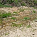 생동농장 이미지