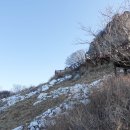봉동산 티스토리