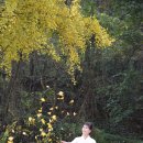 함안향교 이미지