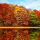 가야사거리 북측-2(공원내 남측) | 서울시 도심 속 감성 넘치는 걷기 좋은 단풍 맛길 어디?