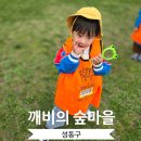 새봄숲키즈어린이집 | 서울숲 숲체험 아이고고 깨비의 숲마을 후기