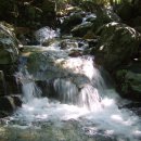 운문산자연휴양림 이미지