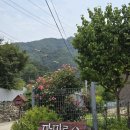 파피루스 | 포천 캠핑장 추천 주말 힐링 플레이스 조용하고 아늑한 파피루스캠핑장 리얼 후기 (수영장, 계곡)