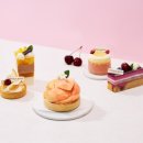 Banyan Tree Club&SPA Seoul Oasis 이미지