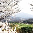 롯데마트 삼산점 이미지