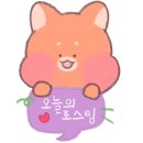 동해공동어시장 막썰어횟집 이미지