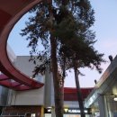 무흘나인펜션 | 경북 펜션 추천 무흘나인펜션 대구근교 카페 비트윈 성주여행 가다!