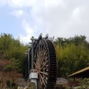 춘선농장 이미지