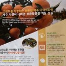 신흥밀감