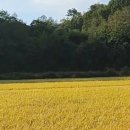 태인동주민센터 이미지