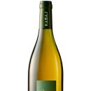 오렌지 카 매니아 이미지