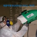 벅스코(BUGSCO)