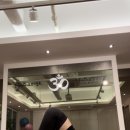 자연치유 요가 이미지