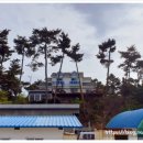 곰섬올레 이미지