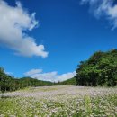 자생식물원 이미지