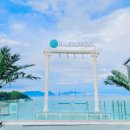 블루망고 이미지