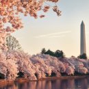 RUN 2 PC CAFE 이미지