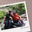 대주민박 이미지