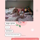 포인트마취통증의학과의원 이미지